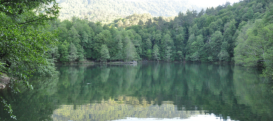 Gerede Gölü
